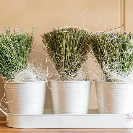 Your Holidays Playa Baltis 55 Przy Plazy *