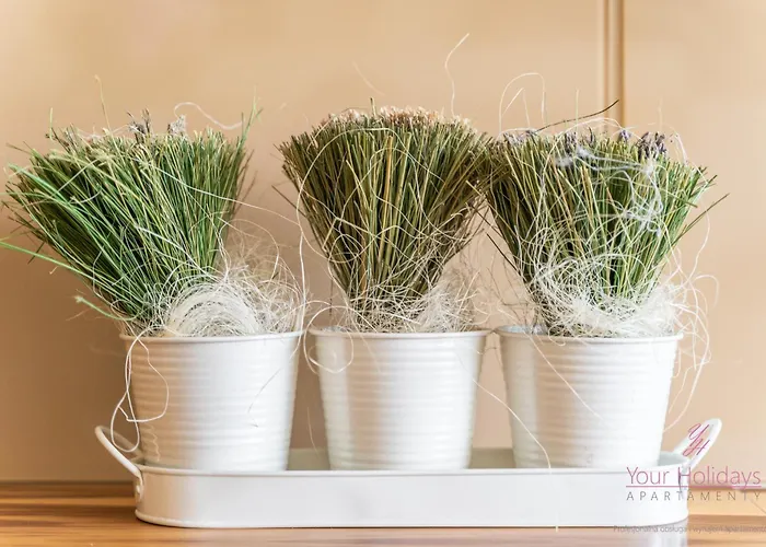 Your Holidays Playa Baltis 55 Przy Plazy *